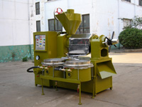 Plam Kenel Oil Press