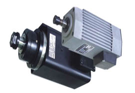 electric spindle motor