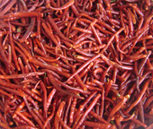 Dried Chilli