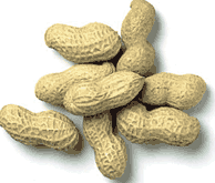 Roasted and Salted Peanut Kernels