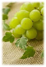 Grape Seed Oil